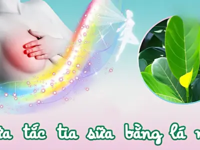 Cách chữa mẹo tắc tia sữa bằng lá mít hiệu quả tại nhà