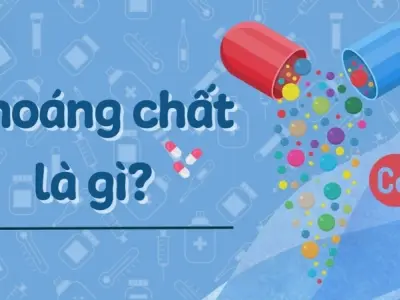 Khoáng chất là gì? Tác dụng quan trọng với sức khỏe