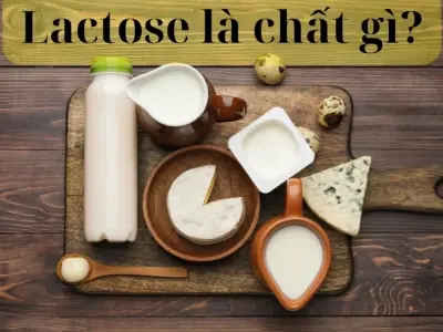 Lactose là chất gì? Hiểu đúng về đường sữa và sức khỏe
