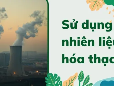 Nhiên liệu hóa thạch được hình thành như thế nào? Hành trình triệu năm