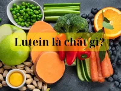 Lutein là chất gì? Công dụng nổi bật đối với sức khỏe