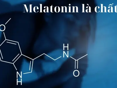 Melatonin là chất gì? Vai trò quan trọng đối với sức khỏe