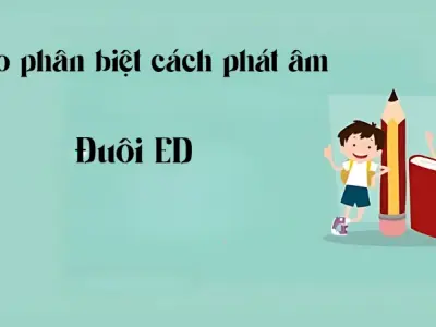 Cách phân biệt ed mẹo đơn giản và chính xác nhất hiện nay