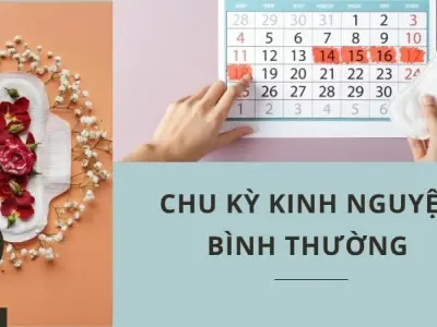 Như thế nào là kinh nguyệt đều? Cách tính chu kì kinh nguyệt