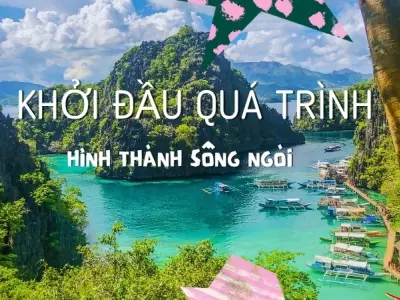 Sông được hình thành như thế nào? Toàn bộ kiến thức bạn cần biết