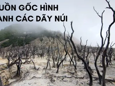Núi được hình thành như thế nào? Những kỳ quan hùng vĩ của Trái Đất