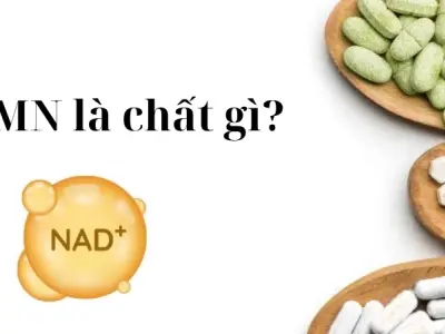 NMN là chất gì? Tìm hiểu công dụng và lợi ích sức khỏe