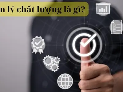 Quản lý chất lượng là gì? Tầm quan trọng với doanh nghiệp