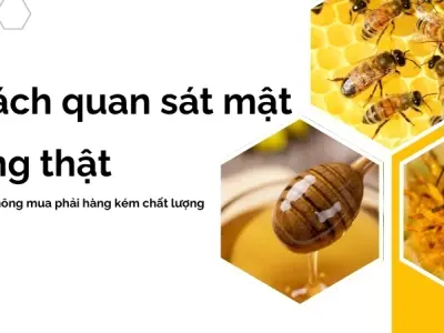 Hướng dẫn cách phân biệt mật ong thật giả bằng nước, lửa