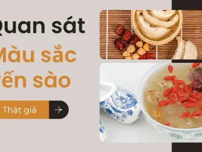 Cách phân biệt yến sào thật và giả - Bí quyết chọn đúng tổ yến chất lượng