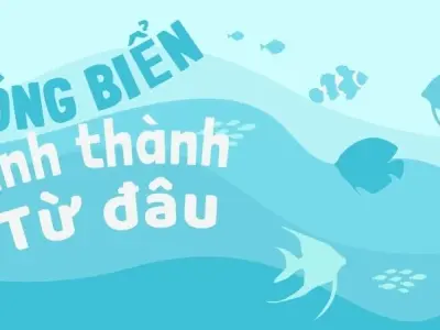 Sóng biển được hình thành như thế nào? Các loại sóng phổ biến