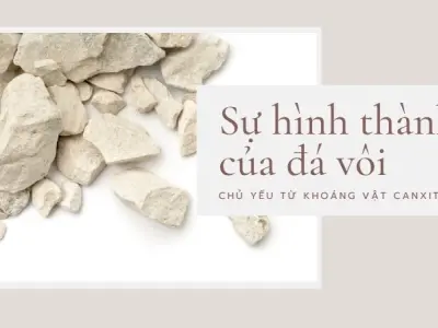 Đá vôi được hình thành như thế nào? Hành trình triệu năm từ biển cả