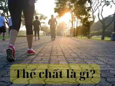 Thể chất là gì? Lợi ích của việc nâng cao thể chất toàn diện