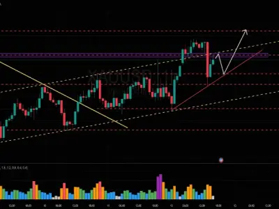 Bật mí các mẹo hay khi sử dụng TradingView như dân chuyên
