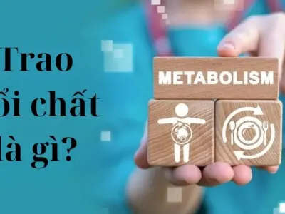 Trao đổi chất là gì? Vai trò trong chuyển hóa năng lượng