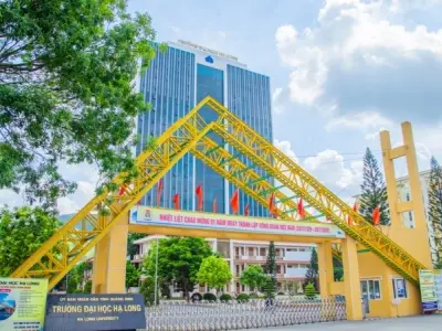 Trường Đại học Hạ Long ở đâu? Thông tin chi tiết nhất