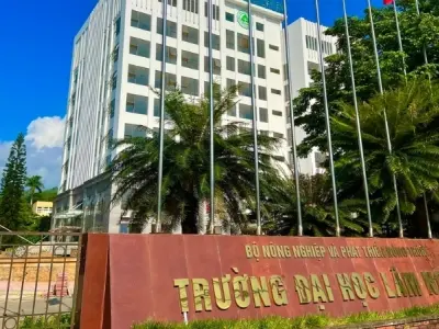 Trường Đại học Lâm nghiệp ở đâu? Thông tin tuyển sinh chi tiết