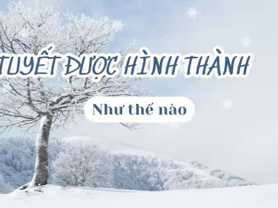Tuyết được hình thành như thế nào? Cơ chế hình thành bão tuyết