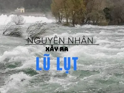 Lũ lụt được hình thành như thế nào? Hiểu rõ để chủ động phòng tránh