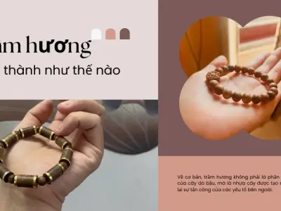 Trầm hương hình thành như thế nào - Báu vật của thiên nhiên