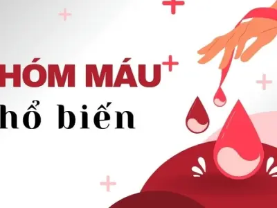 Cách phân biệt nhóm máu tại nhà - Kiểm tra ngay tại nhà với các mẹo này!