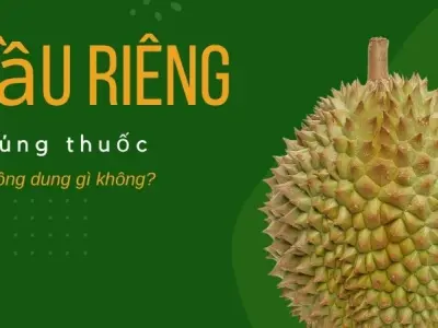 Cách phân biệt sầu riêng nhúng thuốc - Thuốc nhúng sầu riêng có độc không?