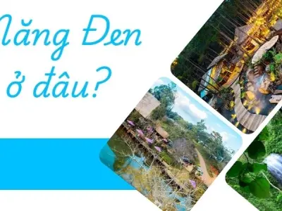 Măng Đen ở đâu? Hành trình săn mây và sống chậm giữa núi