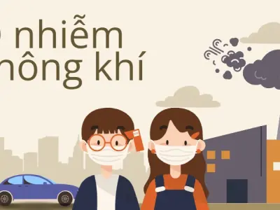 Tác hại ô nhiễm không khí đối với tim mạch và phổi con người