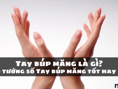Bàn tay búp măng: Dấu hiệu của sự sung sướng hay gánh nặng cuộc đời?