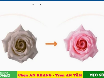 Bí quyết làm hồng nhũ hoa cấp tốc tại nhà an toàn hiệu quả 2026