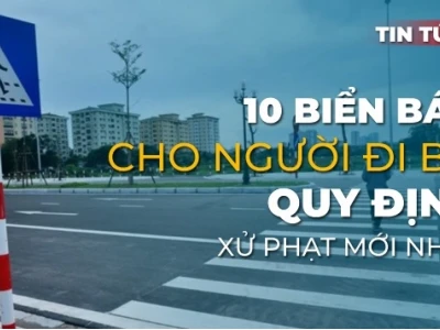 Biển Dành Cho Người Đi Bộ: Quy Định, Ý Nghĩa Và Lựa Chọn