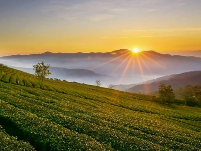 Biển Hồ Chè Gia Lai: Khám phá vẻ đẹp xanh mát của núi rừng Tây Nguyên