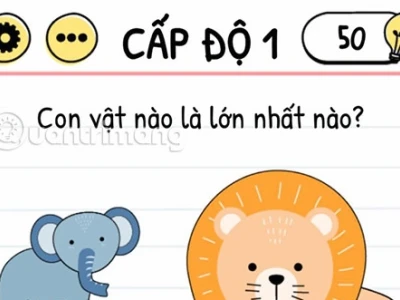 Brain Test: Đố Vui Mưu Mẹo - Khám Phá Thế Giới Thử Thách Trí Tuệ