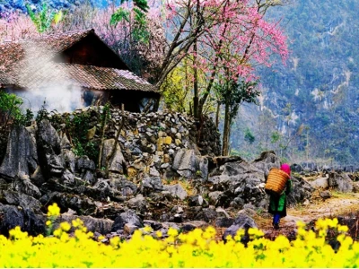 Cẩm nang du lịch Mèo Vạc: Khám phá vẻ đẹp cao nguyên đá Hà Giang