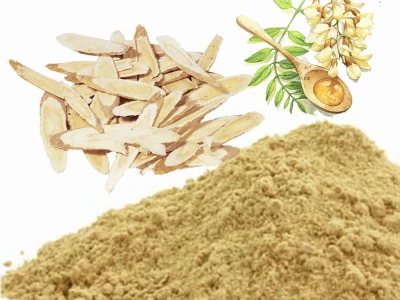 Cảnh báo tác hại của cây cam thảo đất: Những nguy cơ sức khỏe cần biết