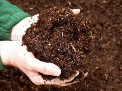 Compost là gì? Hướng dẫn chi tiết về phân bón ủ hoai mục
