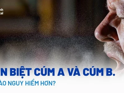Cúm A và Cúm B khác nhau như thế nào? Phân biệt và phòng tránh hiệu quả