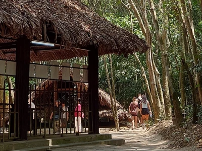 Địa Đạo Củ Chi Nằm Ở Đâu: Khám Phá Di Tích Lịch Sử Hấp Dẫn