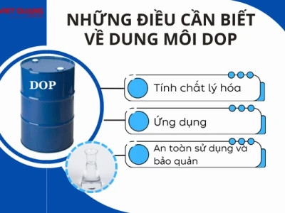 DOP là gì? Vai trò và nhiệm vụ của người chỉ đạo hình ảnh trong phim ảnh