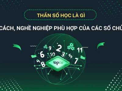 Giải mã số chủ đạo trong thần số học và định hướng sự nghiệp