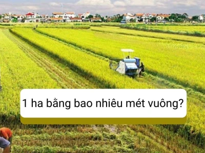 Hecta là gì? Giải mã đơn vị đo diện tích đất đai chuẩn xác