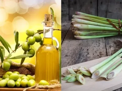 Hướng dẫn cách làm dầu gội đầu thảo dược cô đặc tại nhà