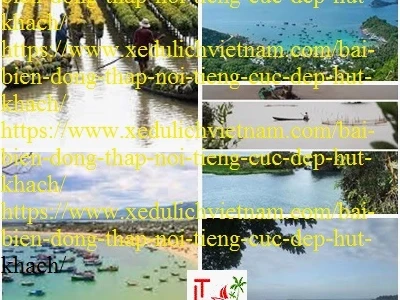 Khám phá vẻ đẹp ẩn mình của biển Đồng Tháp