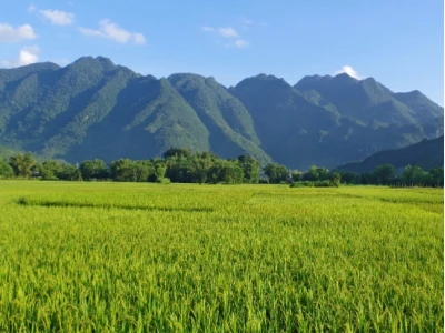 Mai Châu ở đâu? Khám phá vẻ đẹp và văn hóa độc đáo