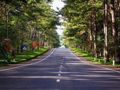 Măng Đen ở đâu: Khám phá vùng đất thần tiên Kon Tum