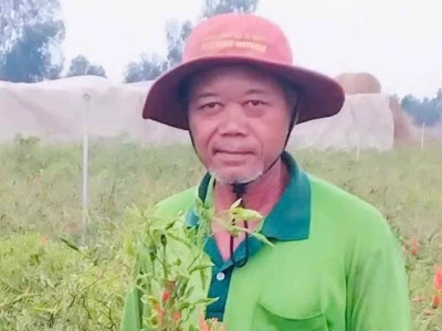 Ớt chỉ thiên là gì? Hướng dẫn trồng và những lợi ích bất ngờ