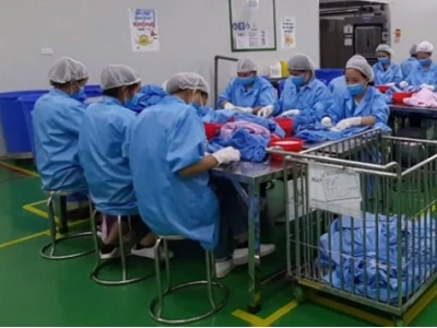 Sorting là gì và vai trò thiết yếu trong quy trình sản xuất