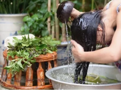 Tác hại tiềm ẩn của bồ kết: Lợi bất cập hại?