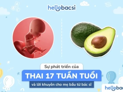 Thai 17 tuần phát triển như thế nào? Cẩm nang chi tiết cho mẹ bầu