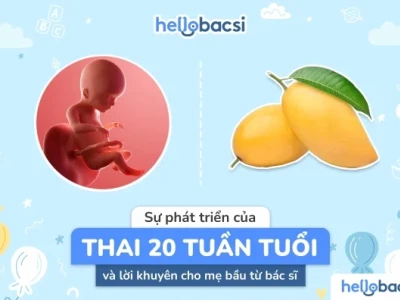 Thai 20 tuần phát triển như thế nào và những thay đổi của mẹ